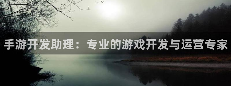 大神pc28官网开奖：手游开发助理：专业的游戏开发与运营专家