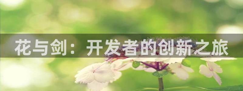 28大神苹果版下载：花与剑：开发者的创新之旅