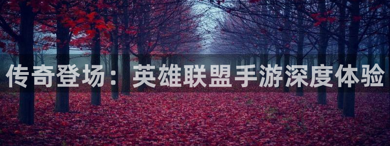 蓝图娱乐加拿大在线上分：传奇登场：英雄联盟手游深度体验