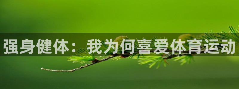 三亿体育网页版