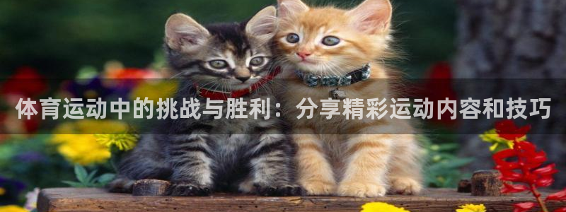 三亿体育网：体育运动中的挑战与胜利：分享精彩运动内容和技巧