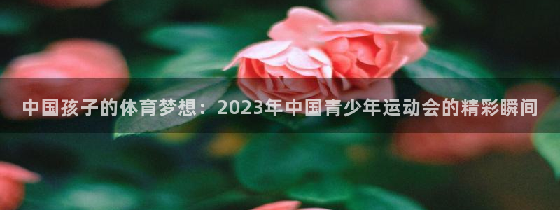 三亿体育登录：中国孩子的体育梦想：2023年中国青少年运动会的精彩瞬间