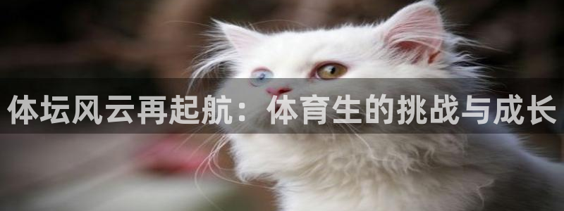 三亿体育：体坛风云再起航：体育生的挑战与成长