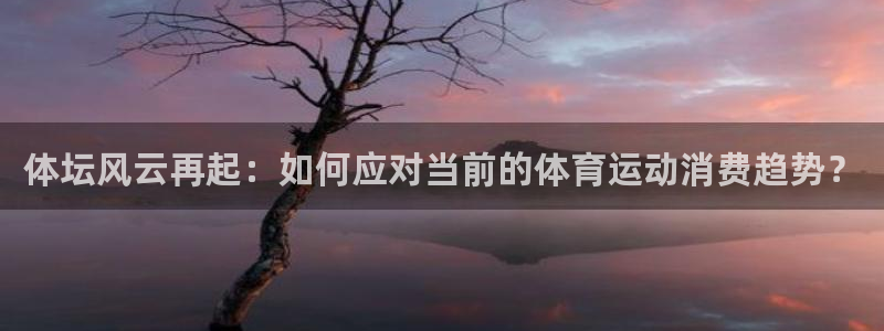 三亿体育网：体坛风云再起：如何应对当前的体育运动消费趋势？