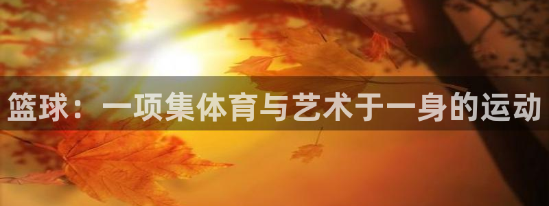 三亿体育网：篮球：一项集体育与艺术于一身的运动