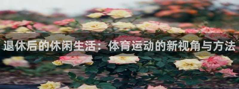 三亿体育登录：退休后的休闲生活：体育运动的新视角与方法