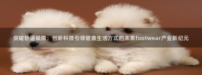 三亿体育网页版：突破舒适极限：创新科技引领健康生活方式的未来footwear产业新纪元