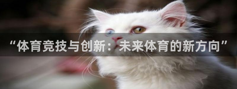三亿体育网：“体育竞技与创新：未来体育的新方向”