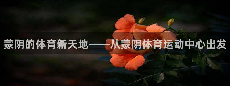 三亿体育网页版：蒙阴的体育新天地——从蒙阴体育运动中心出发
